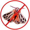 Moth Control Keilor